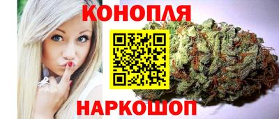 крисы Обь