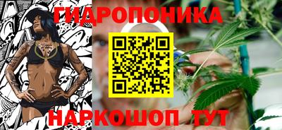 крисы Обь