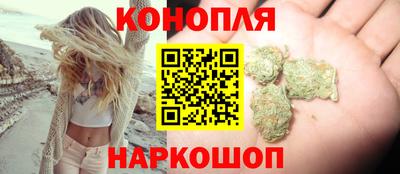 крисы Обь